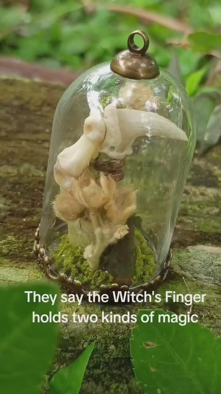 Witch's finger Relic