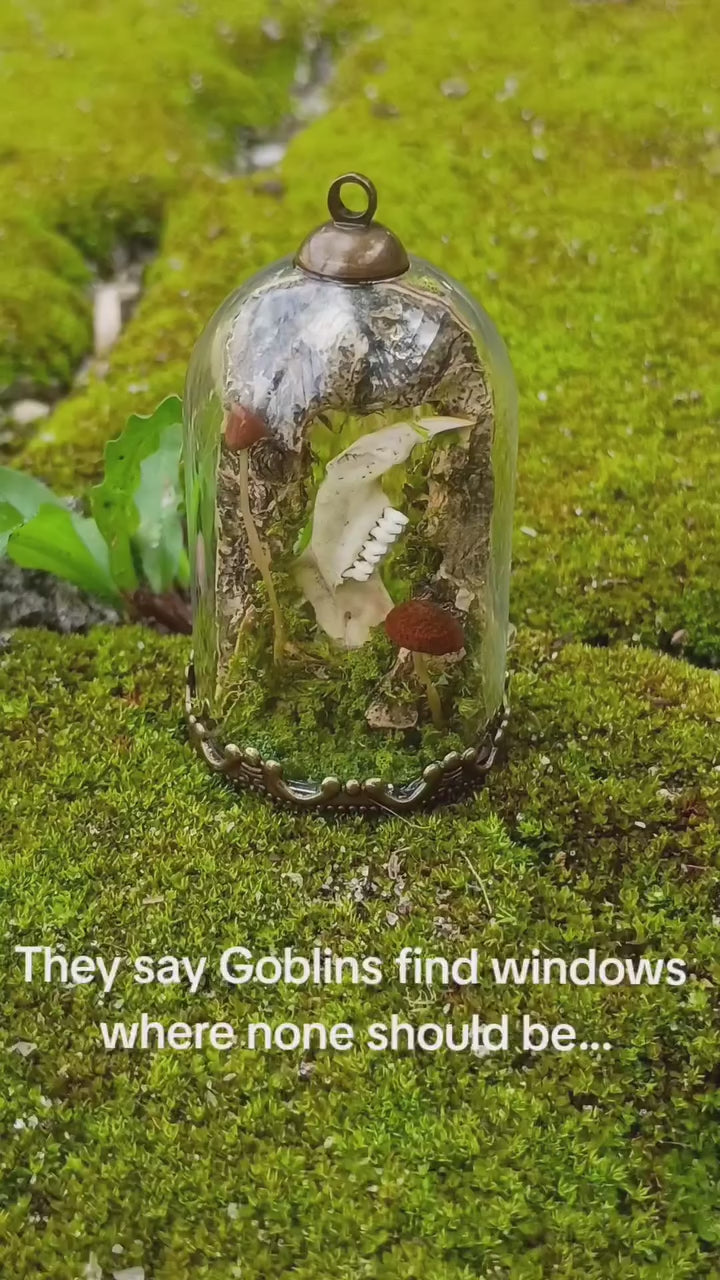 Goblin Window Relic