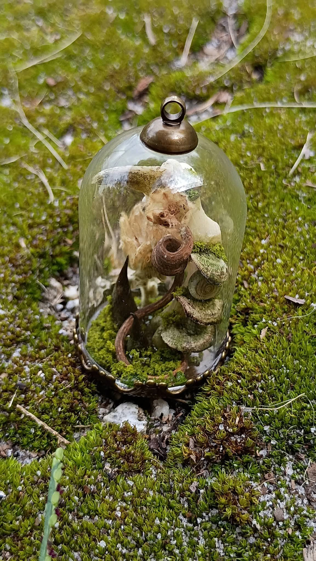 Witch's finger Relic