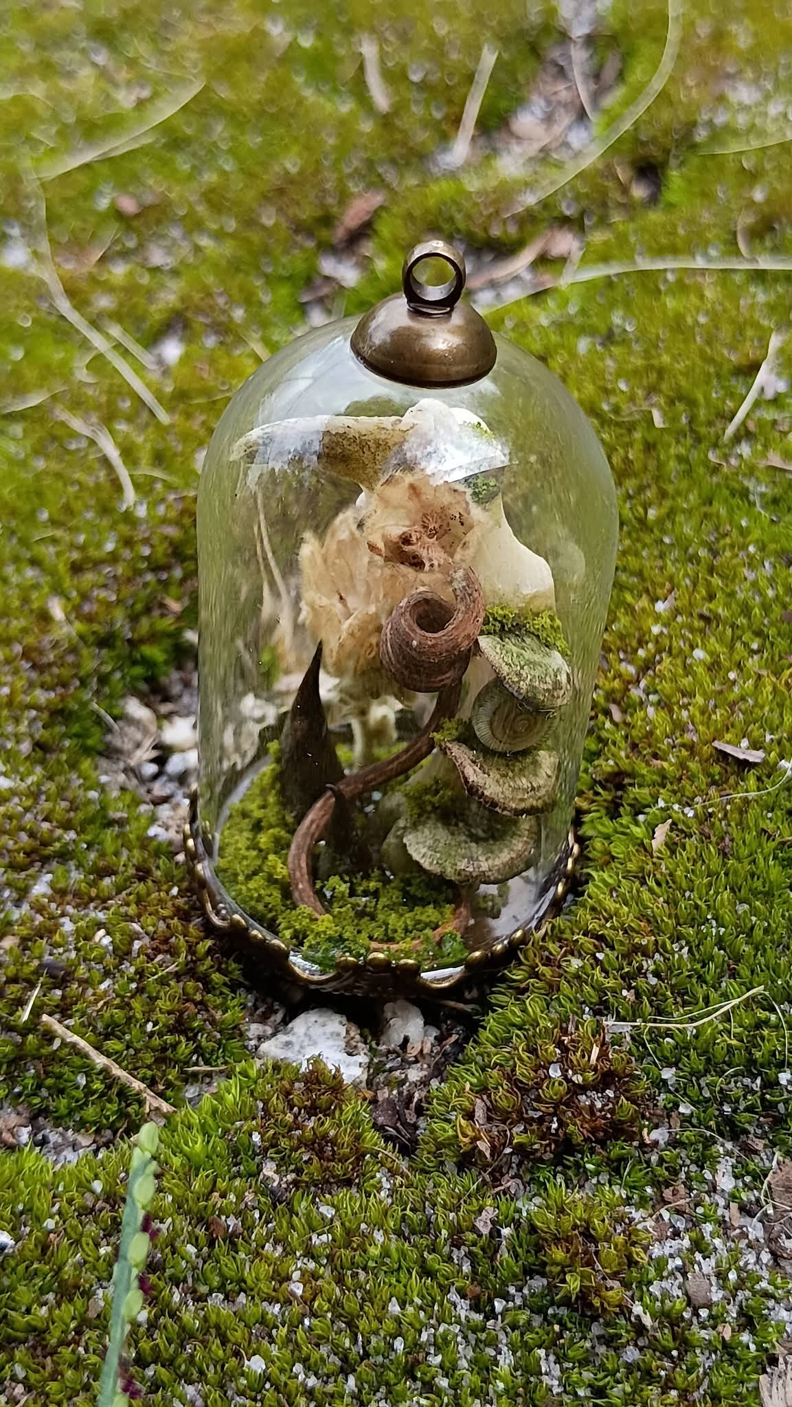 Witch's finger Relic