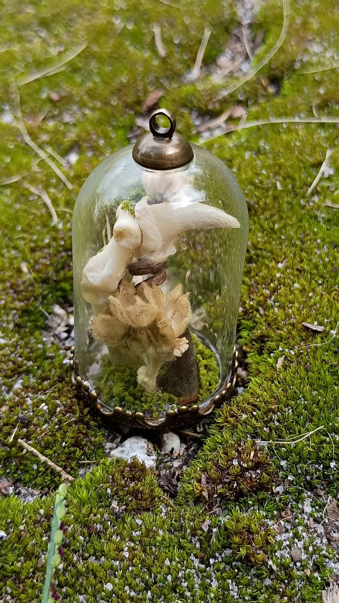 Witch's finger Relic
