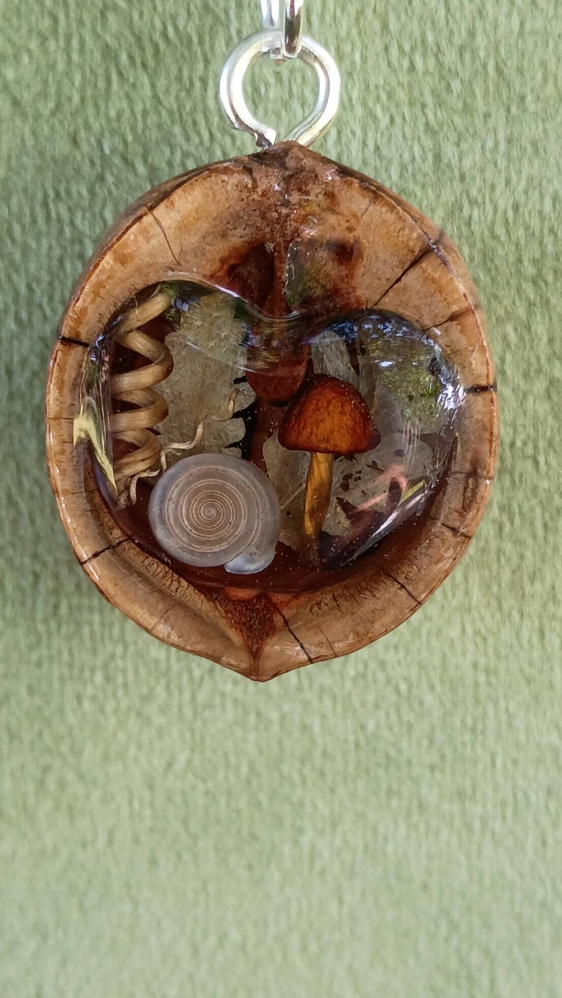 Hickory Nut Heart Window